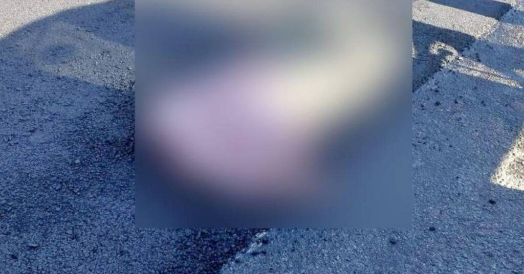 ဘီးလင်းမြို့နယ် ရွှေရောင်ပြကျေးရွာအနီး ရန်ကုန်-မော်လမြိုင်ကားလမ်းတွင် လမ်းအင်ဂျင်နီယာ အမျိုးသားတစ်ဦး လမ်းကြိတ်စက် အကြိတ်ခံရပြီး သေဆုံး