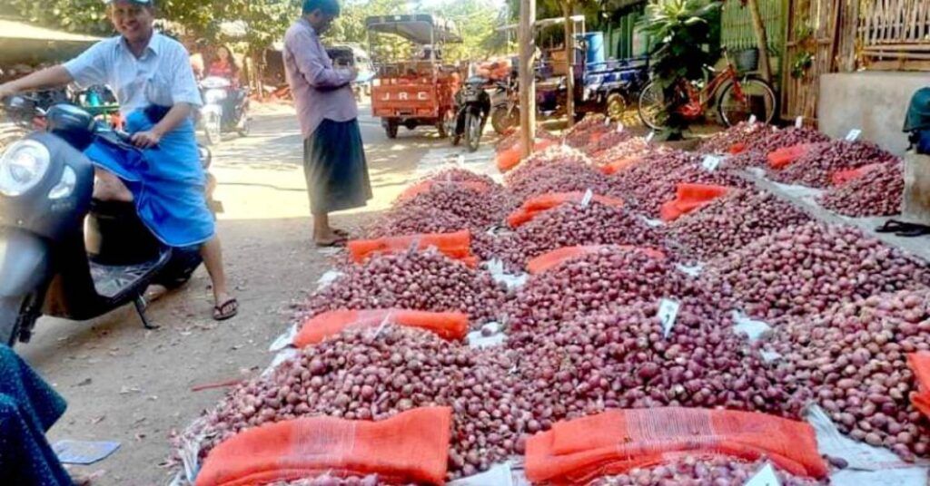 ပခုက္ကူကြက်သွန်နီစျေးကွက်တွင် နယ်စုံကုန်ဝင်များပြားပြီး တစ်ပိဿာ ကျပ် ၁၇၀၀ ပေါက်စျေးရှိ