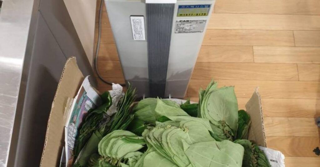 ကိုရီးယားလေဆိပ်တွင် တားမြစ်ကုန်ပစ္စည်းများအားတွေ့ရှိပါက ဒဏ်ကြေးငွေ ဝမ်တစ်သိန်းမှ ဝမ်သိန်း ၅၀ အထိတိုးမြှင့်လိုက်သည့်အတွက် E-9 မြန်မာလုပ်သားများအနေဖြင့် တားမြစ်ပစ္စည်းများ ယူဆောင်ခြင်းမပြုကြရန် ထုတ်ပြန်